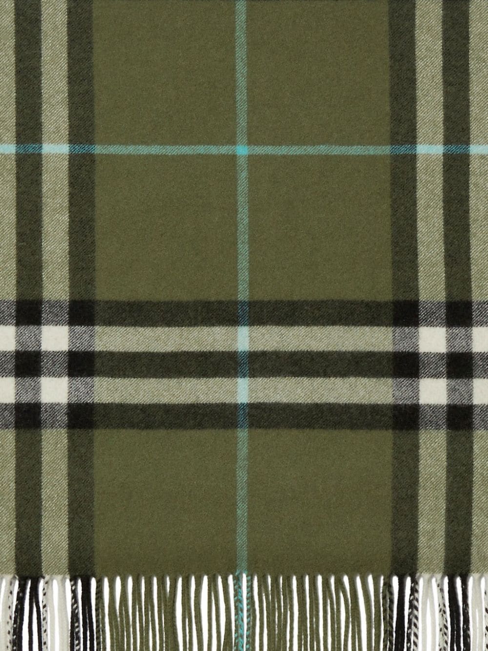 Green store burberry scarf